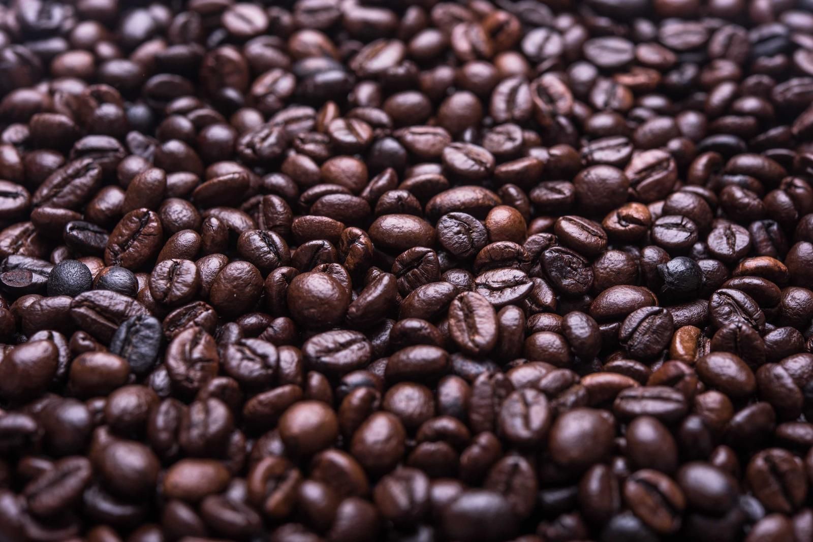 焙煎したてのコーヒー豆